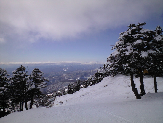 雪質良いですね。|川場スキー場のクチコミ画像