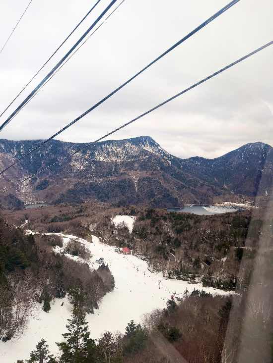 ワンダーランドかたしなレビューキャンペーン