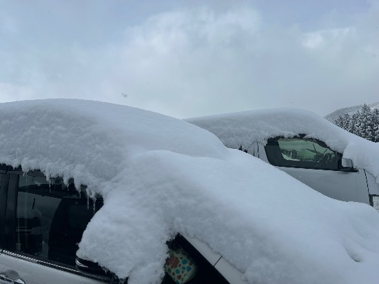 10年に1度の大寒波|野沢温泉スキー場のクチコミ画像2