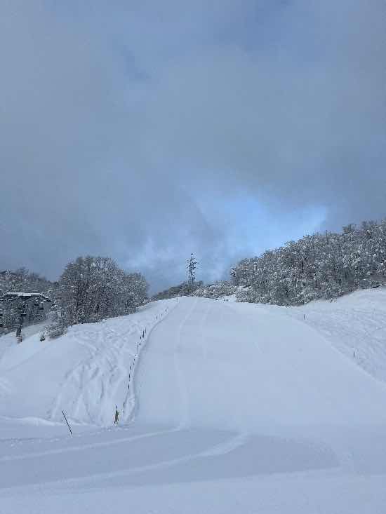 この時期にパウダー|のクチコミ画像