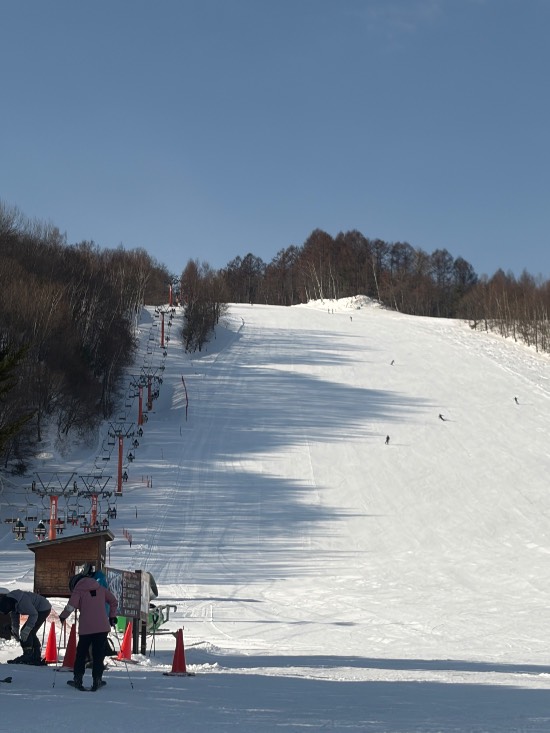 ワンダーランドかたしなレビューキャンペーン！