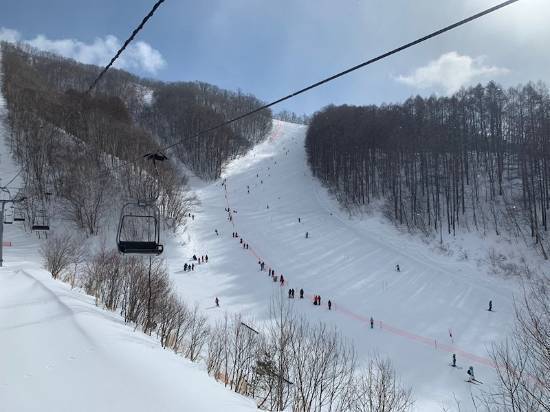 ワンダーランドかたしなレビューキャンペーン