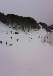穴場スキー場|信州松本 野麦峠スキー場のクチコミ画像