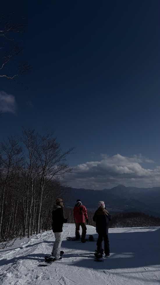 ワンダーランドかたしなレビューキャンペーン