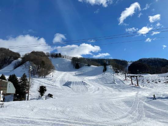 ワンダーランドかたしなレビューキャンペーン