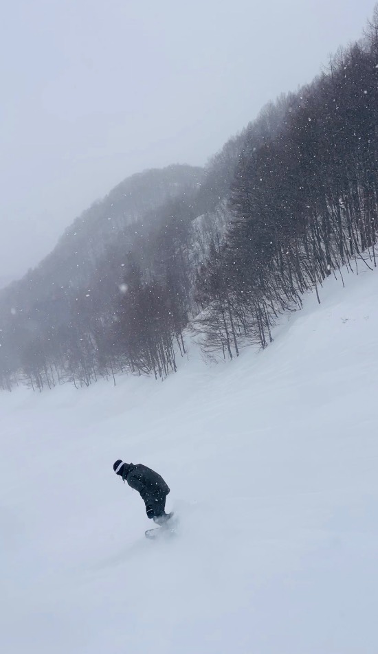 ワンダーランドかたしなレビューキャンペーン
