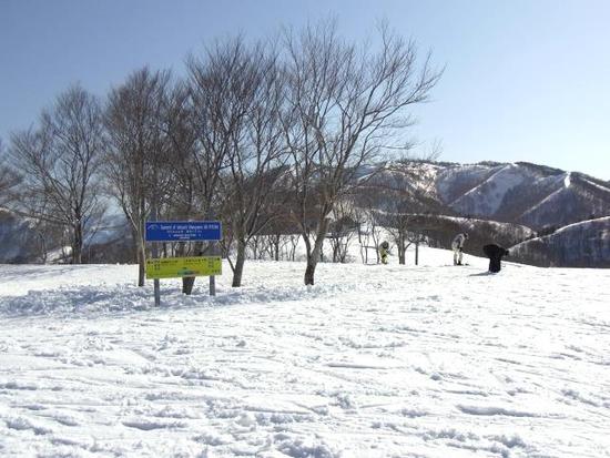 コースが豊富です。|石打丸山スキー場のクチコミ画像