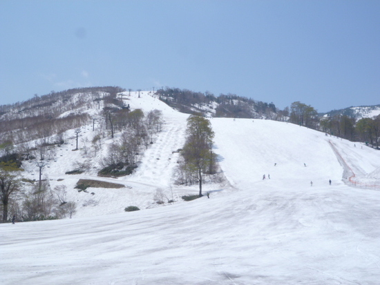 5/22 クローズ4日前のコンディション|かぐらスキー場のクチコミ画像