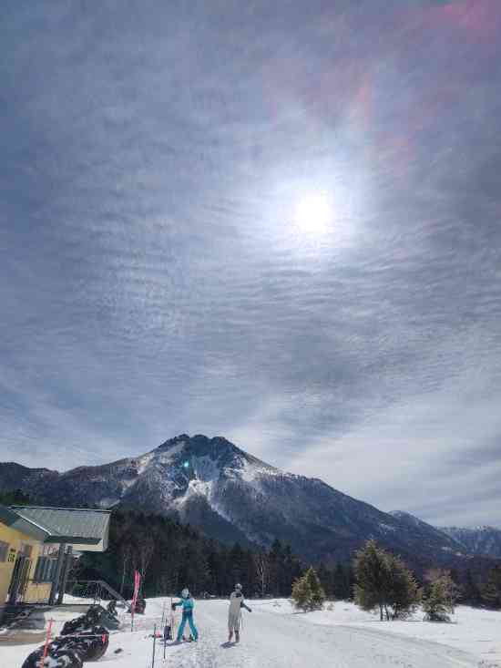 ワンダーランドかたしなレビューキャンペーン|のクチコミ画像