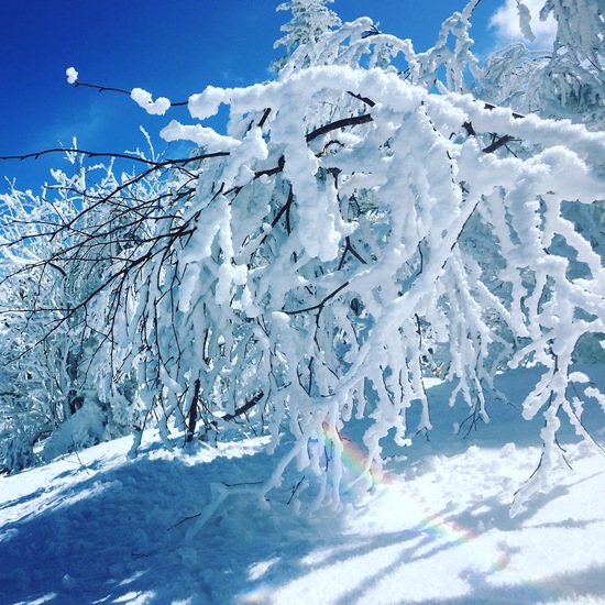 最高過ぎる絶景！！|パルコール嬬恋リゾートのクチコミ画像