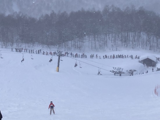 スキー場は最高|白馬岩岳スノーフィールドのクチコミ画像