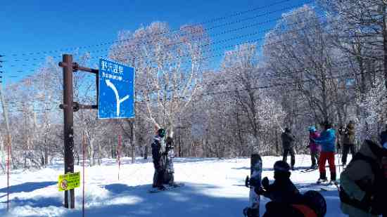ブナの森で会いましょう。