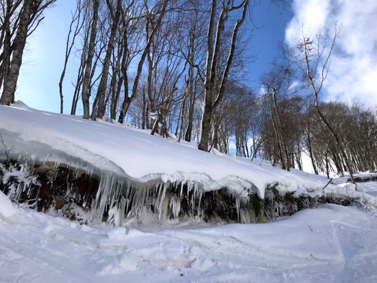 氷柱！！|国見平スキー場のクチコミ画像
