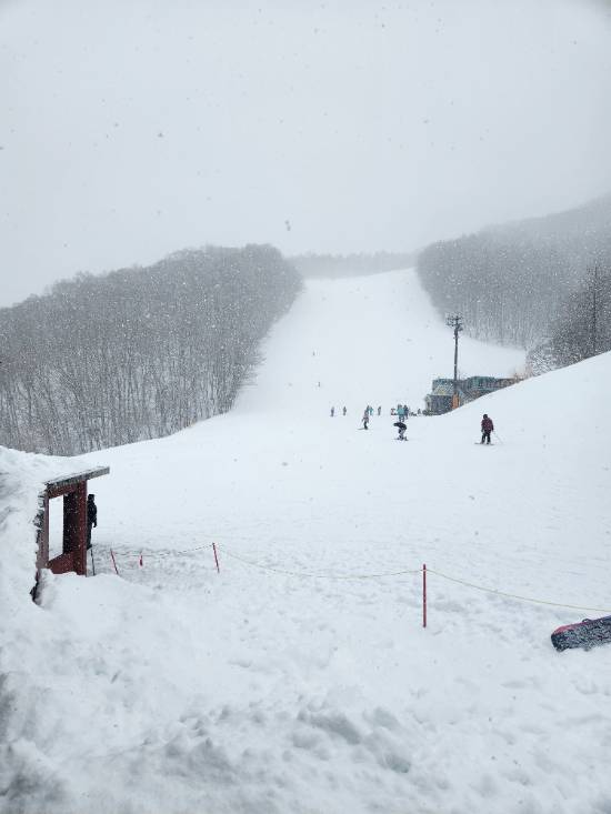 ［ワンダーランドかたしなレビューキャンペーン］|ホワイトワールド尾瀬岩鞍のクチコミ画像2