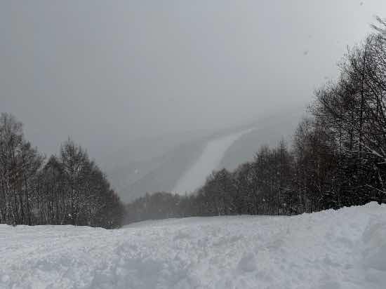 ワンダーランドかたしなレビューキャンペーン|ホワイトワールド尾瀬岩鞍のクチコミ画像