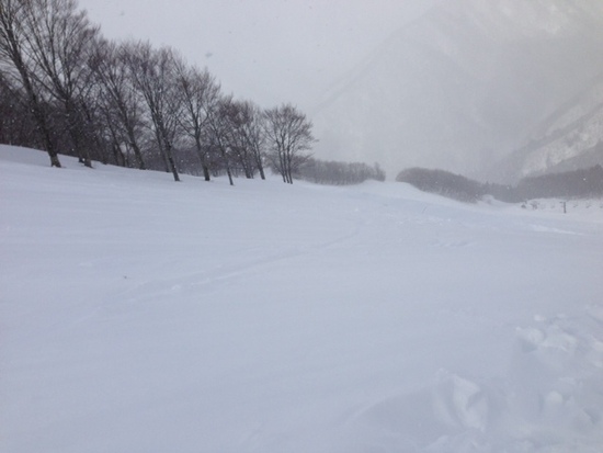 粉雪|ホワイトバレースキー場のクチコミ画像