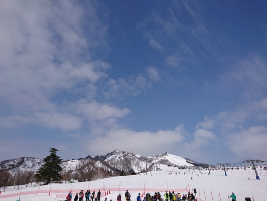 この広い場所最高です。|岩原スキー場のクチコミ画像1