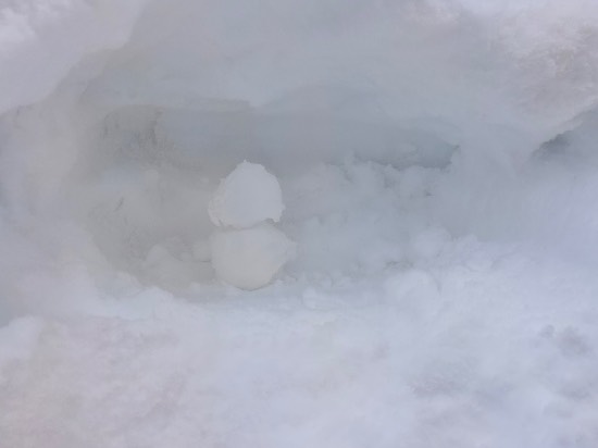 朝一は最高|舞子スノーリゾートのクチコミ画像