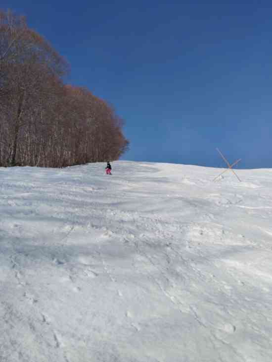 マダPOW出逢えず