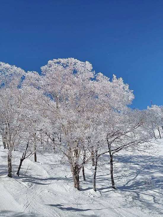5月までもつのか？|野沢温泉スキー場のクチコミ画像2