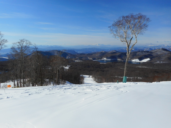 平日指定券2525円・晴れのち雪|たんばらスキーパークのクチコミ画像