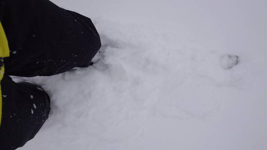 ワンダーランドかたしなレビューキャンペーン|ホワイトワールド尾瀬岩鞍のクチコミ画像2