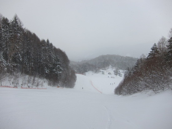 2014/01/26（日）長野県Mt.乗鞍の速報|Mt．乗鞍スノーリゾートのクチコミ画像