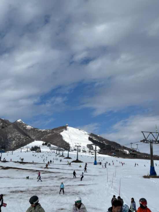 積雪20センチとあるが滑れます|岩原スキー場のクチコミ画像