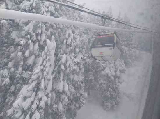 いい雪|GALA湯沢スキー場のクチコミ画像