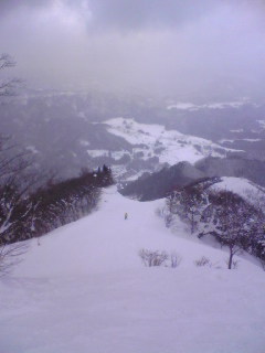 雪質よく、滑りやすく、温泉安い！|おじろスキー場のクチコミ画像