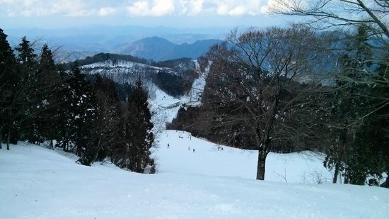 暑いくらいの天気でした|のクチコミ画像