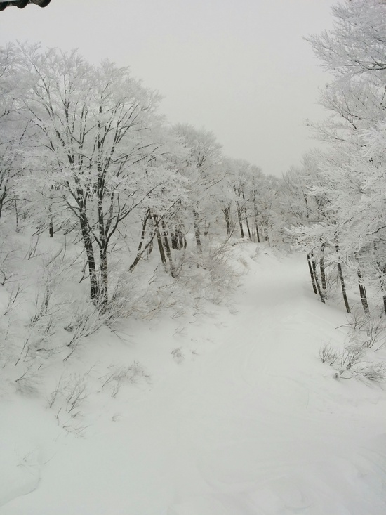 パラダイス天国|六日町八海山スキー場のクチコミ画像