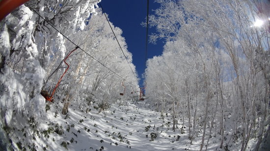 樹氷のトンネル|YAMABOKU ワイルドスノーパークのクチコミ画像