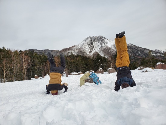 フワフワな雪|丸沼高原スキー場のクチコミ画像