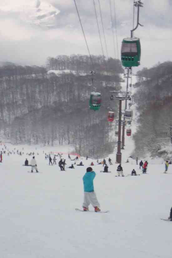 高鷲スノーパークのフォトギャラリー1