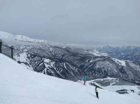 ワンダーランドかたしなレビューキャンペーン