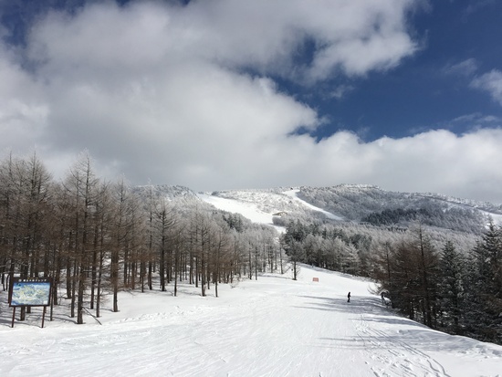 樹氷がいまひとつ。|蔵王温泉スキー場のクチコミ画像
