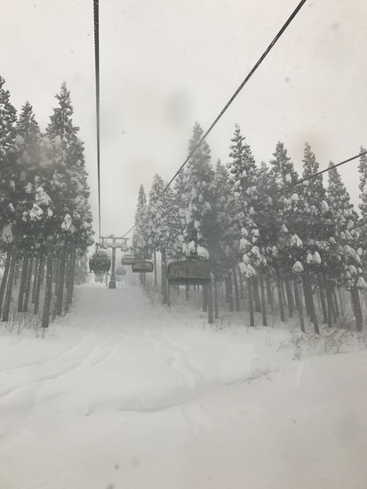 快適！|福井和泉スキー場のクチコミ画像