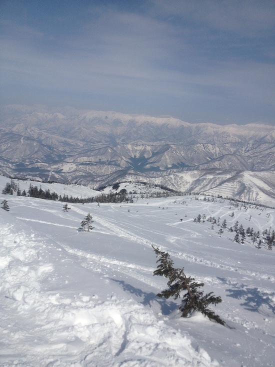 北海道にも負けない、広大な自然と最高の雪質です！|かぐらスキー場のクチコミ画像