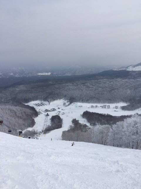 パウダー三昧!|のクチコミ画像