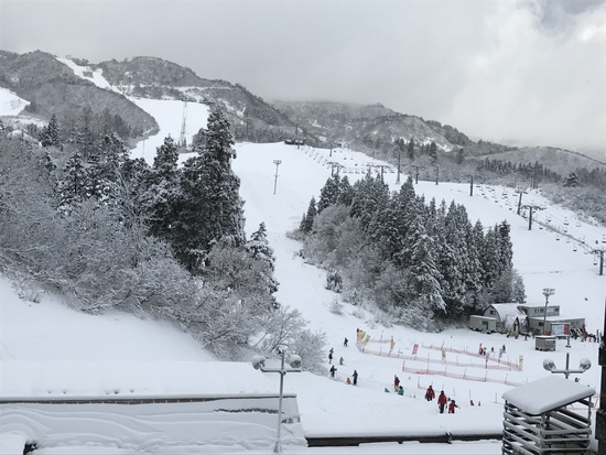 4日はびっくり、5日からは積雪してきました。|上越国際スキー場のクチコミ画像