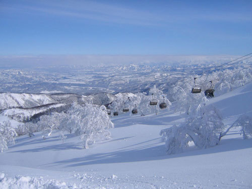 THE NOZAWA!!|野沢温泉スキー場のクチコミ画像