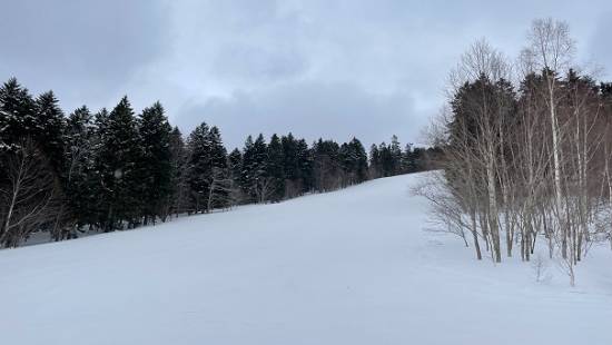 雪の質も良い