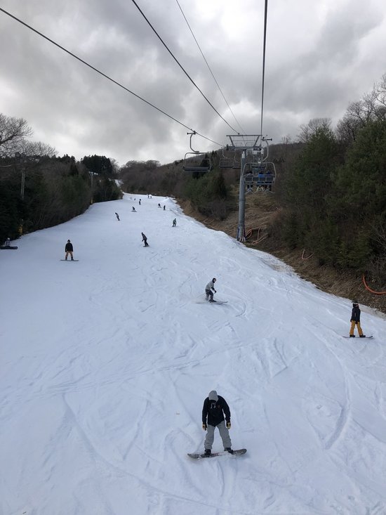 雪は少なめです|女鹿平温泉めがひらスキー場のクチコミ画像