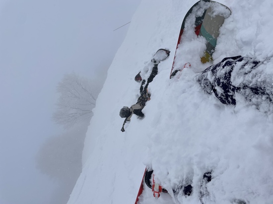 パウダーでした！|六日町八海山スキー場のクチコミ画像