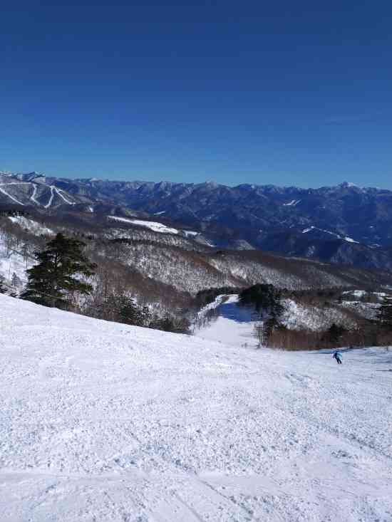 ワンダーランドかたしなレビューキャンペーン|オグナほたかスキー場のクチコミ画像3