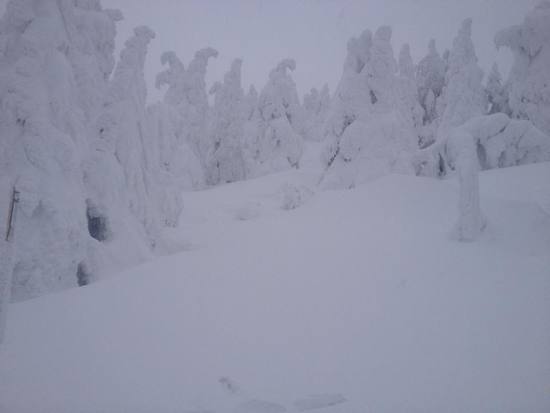 積雪期待|蔵王温泉スキー場のクチコミ画像