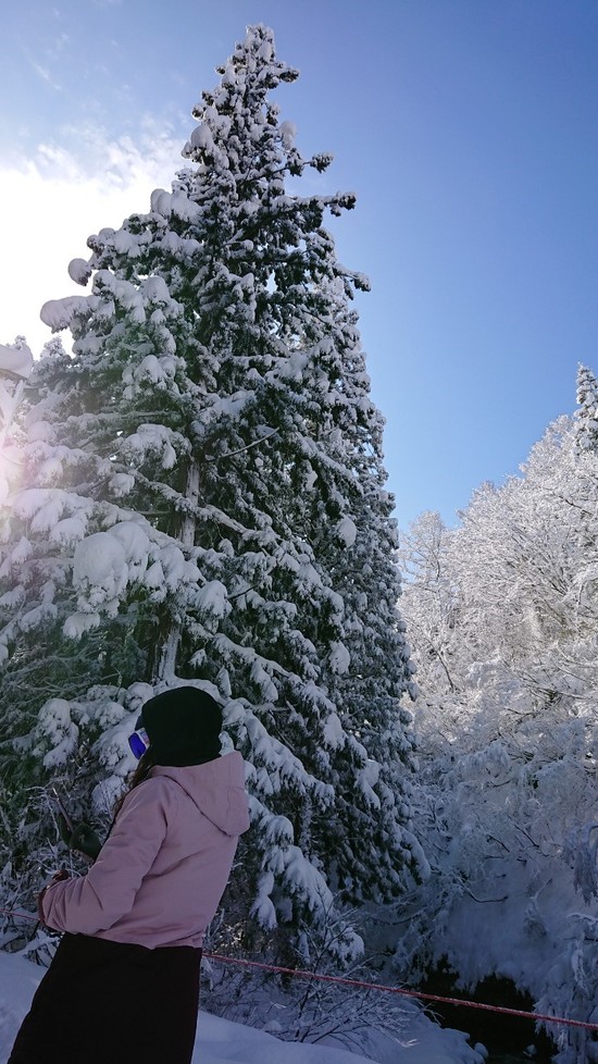 小川が流れてる場所見つけた♪|神立スノーリゾートのクチコミ画像