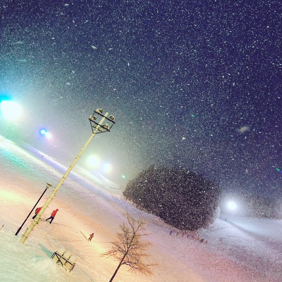 夜のゲレンデ|湯沢パークスキー場のクチコミ画像