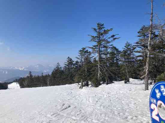 志賀高原 焼額山スキー場のフォトギャラリー1